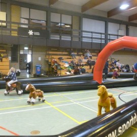2016 kleuterhappening  10 - Sportraad Zaventem 